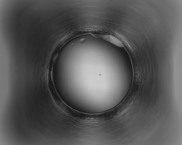 X0000093110538200710101023