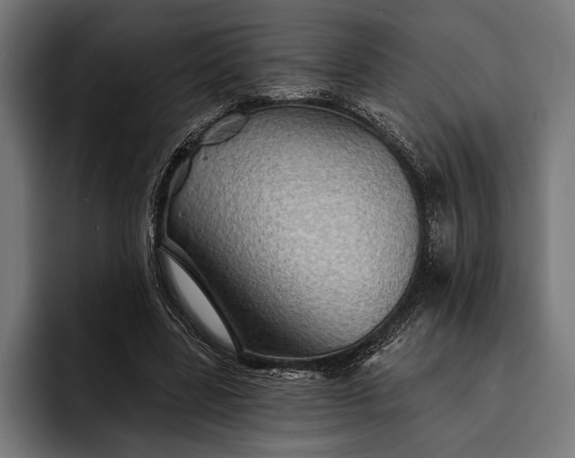 X0000093110539200710101023