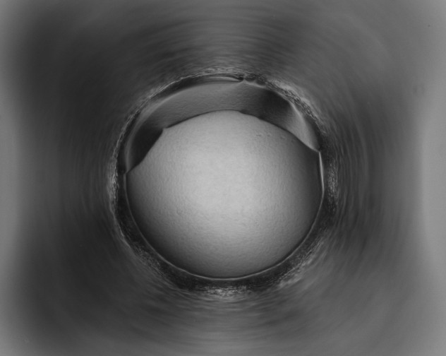 X0000093110540200710101023