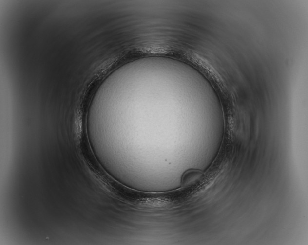 X0000093110541200710101023