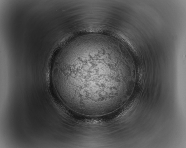 X0000093110542200710101023