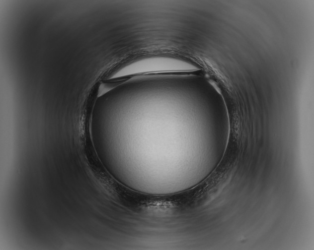 X0000093110543200710101023