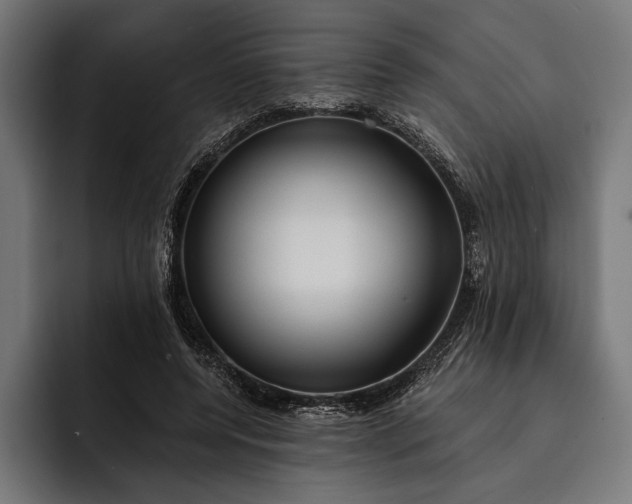 X0000093110544200710101023