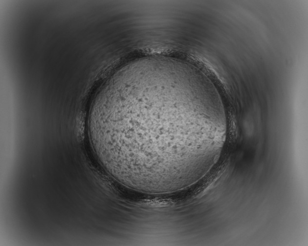 X0000093110545200710101024