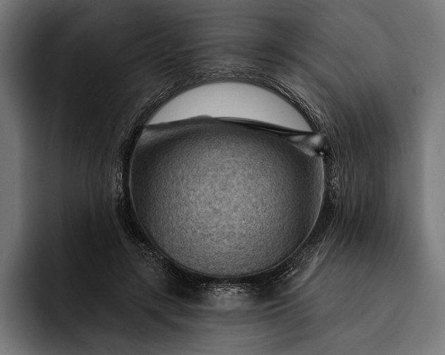 X0000093110547200710101024