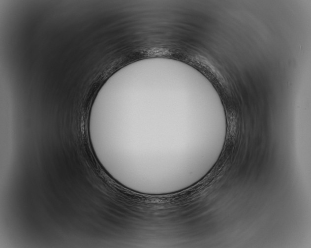 X0000093110549200710101024