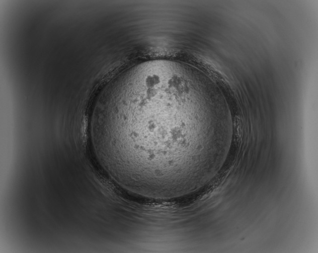 X0000093110550200710101024