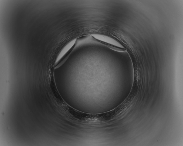 X0000093110551200710101024