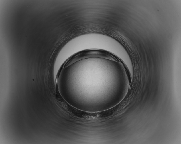 X0000093110552200710101024