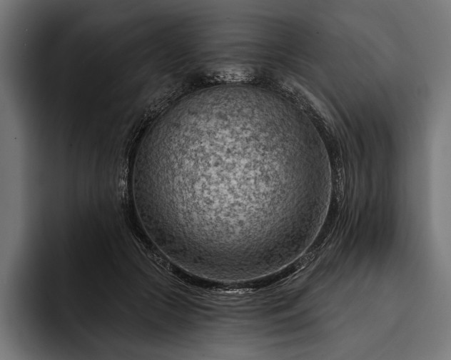 X0000093110553200710101024