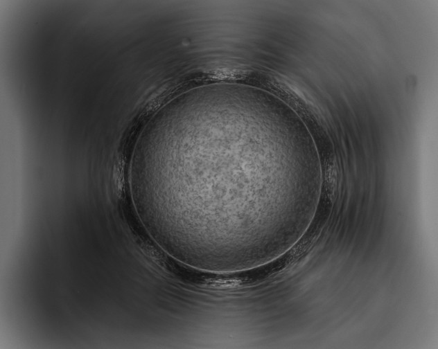 X0000093110554200710101024