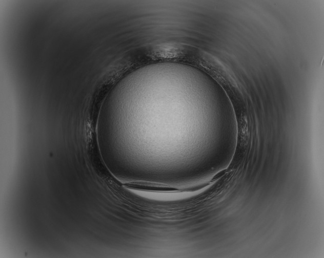 X0000093110555200710101024