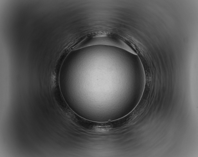 X0000093110556200710101024