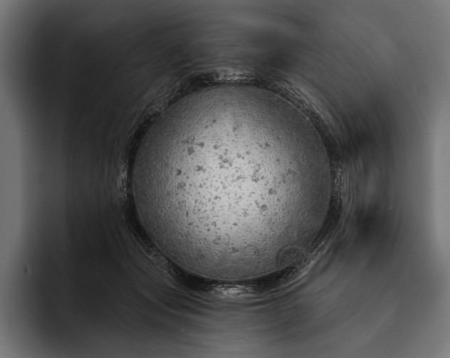 X0000093110557200710101024