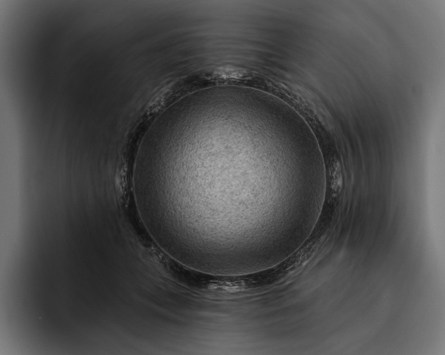 X0000093110559200710101024