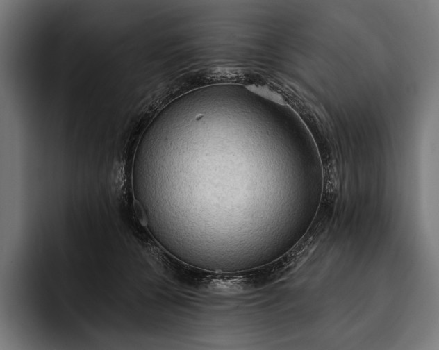 X0000093110560200710101024