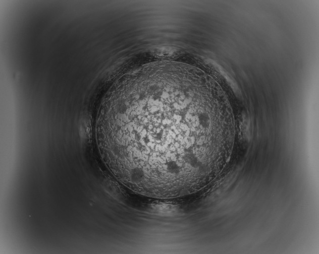 X0000093110561200710101024