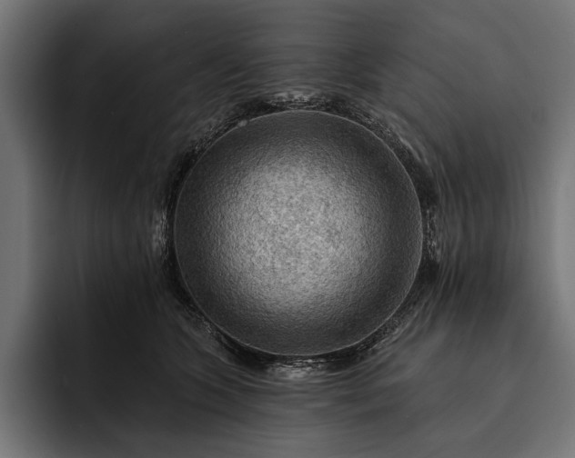 X0000093110563200710101024