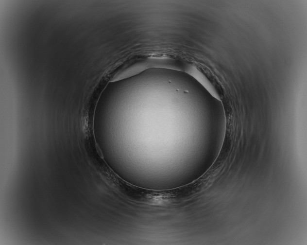 X0000093110564200710101024