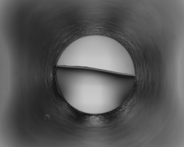 X0000093110566200710101024