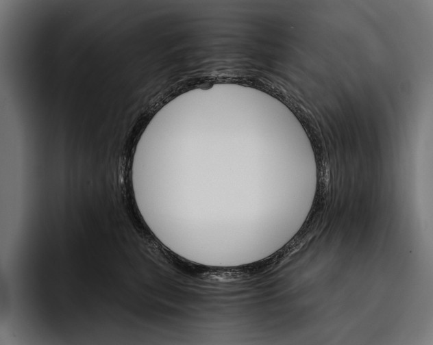 X0000093110567200710101024