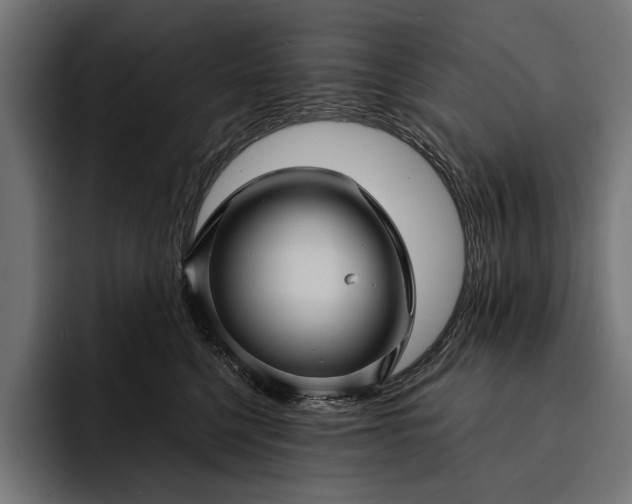 X0000093110568200710101024