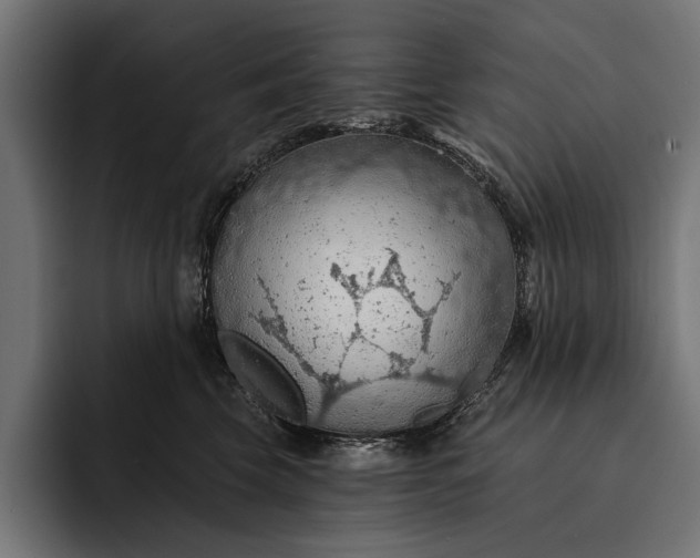 X0000093110569200710101024