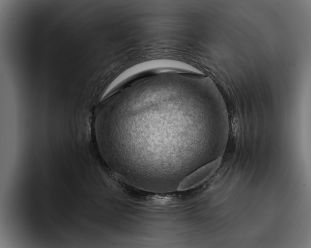 X0000093110570200710101024