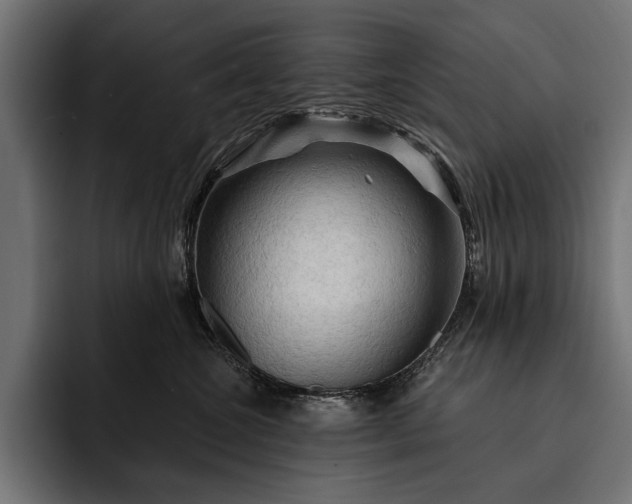 X0000093110572200710101024