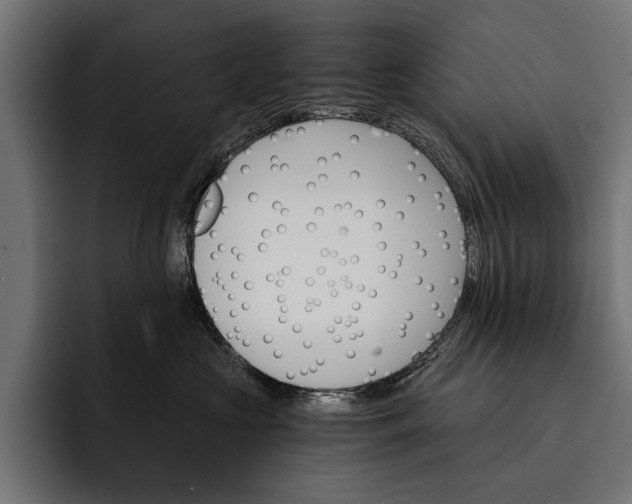 X0000093110573200710101024