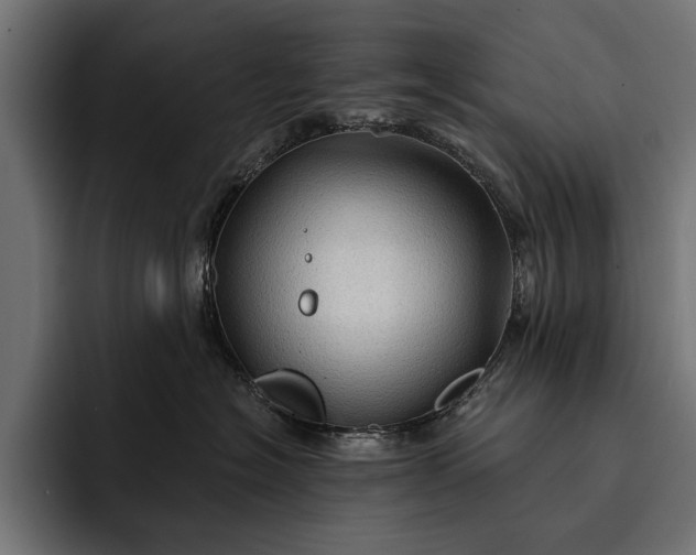 X0000093110574200710101024