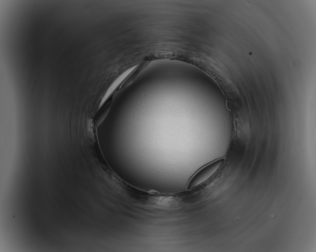 X0000093110575200710101024