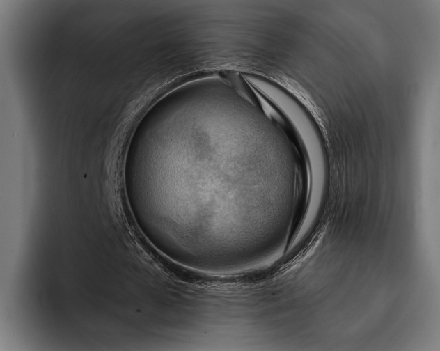 X0000093110577200710101023