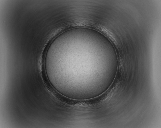 X0000093110578200710101023