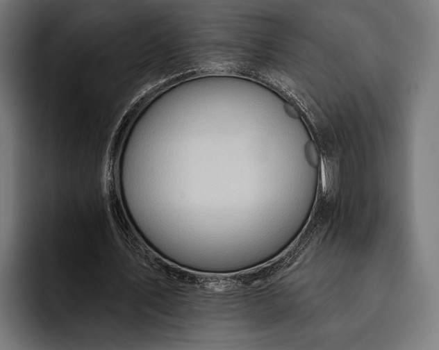 X0000093110579200710101023