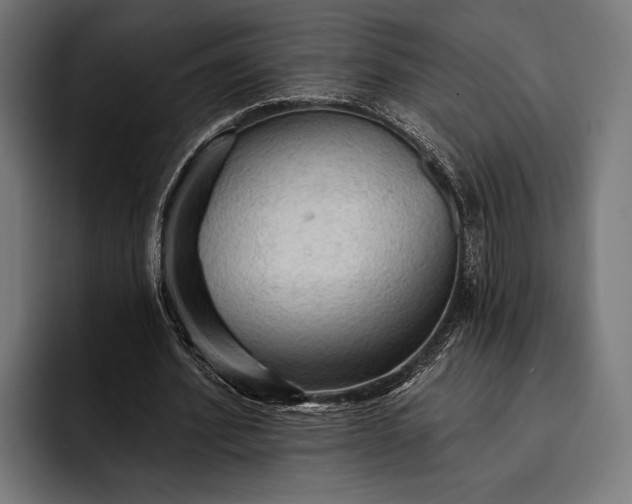 X0000093110580200710101023