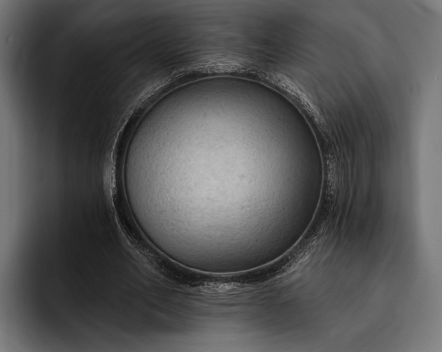 X0000093110582200710101023