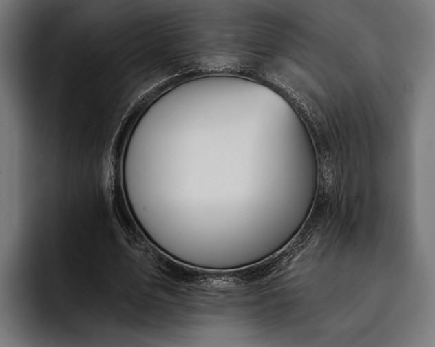 X0000093110583200710101023