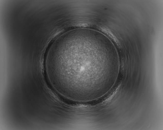 X0000093110585200710101023