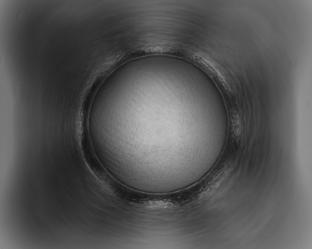 X0000093110586200710101023