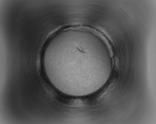 X0000093110588200710101023