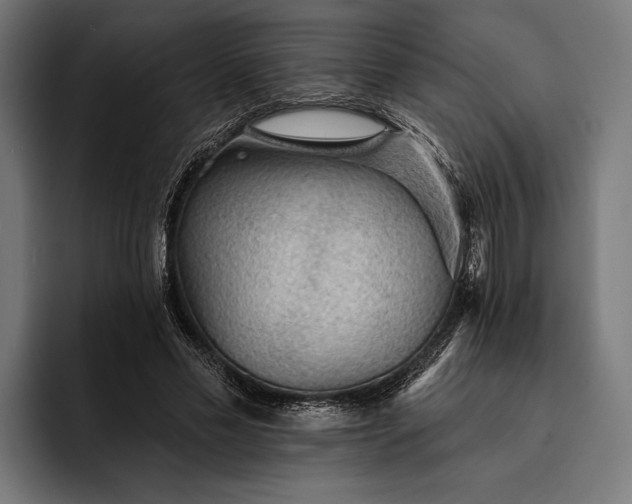 X0000093110589200710101023