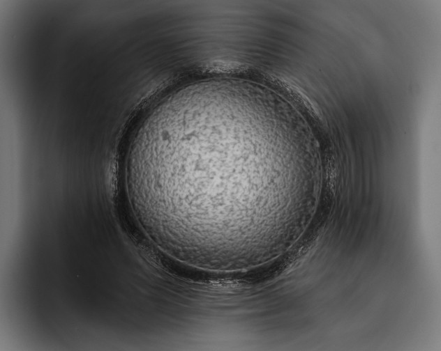 X0000093110591200710101023