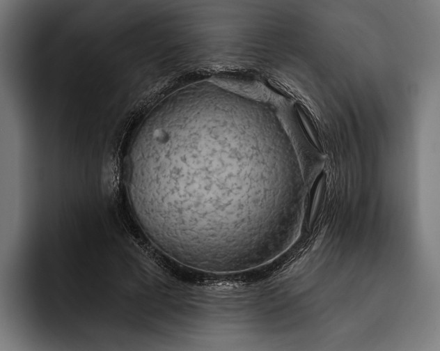 X0000093110593200710101023