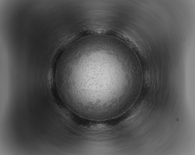 X0000093110594200710101023