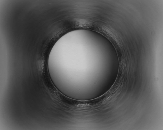 X0000093110595200710101023