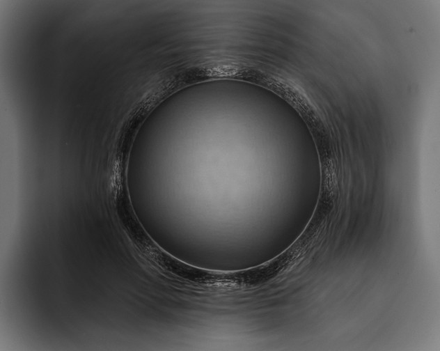 X0000093110598200710101023