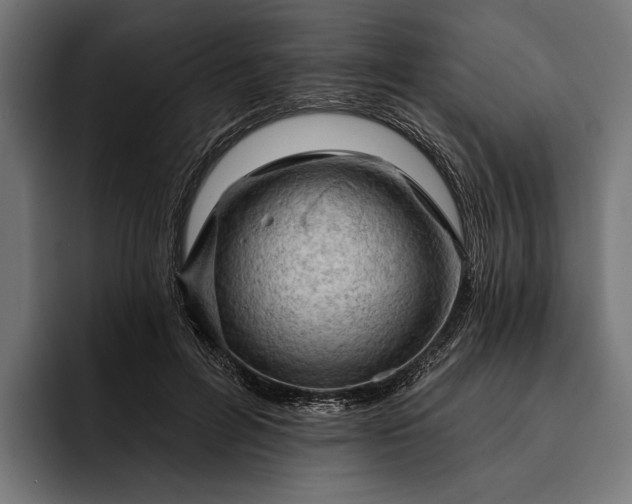 X0000093110600200710101023