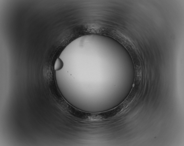 X0000093110603200710101023