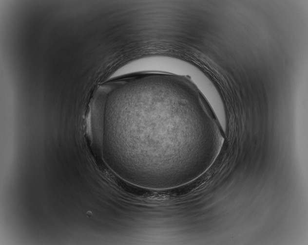 X0000093110604200710101023